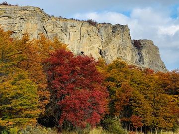 Venta de parcelas en Laguna Sofía, Puerto Natales - Región de Magallanes