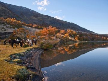 Venta de parcelas en Laguna Sofía, Puerto Natales - Región de Magallanes