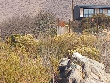 Oportunidad¡¡¡¡ 5300 m2 semi planos en exclusiva parcelación, con luz ,agua y muy segura.
