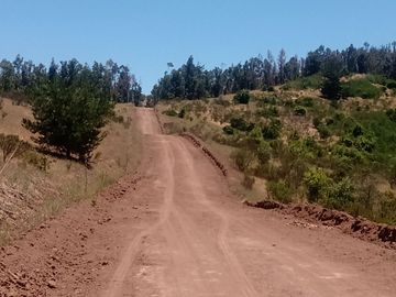 Quintero, hermosas parcelas de 2 hectáreas,