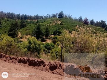 Quintero, hermosas parcelas de 2 hectáreas,