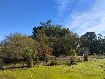 VENDE HERMOSA PARCELA CON CASA EN MANTAGUA