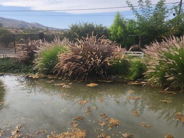 ESPECTACULAR CASA EN PIRQUE, OPORTUNIDAD