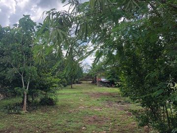 SE VENDE RANCHO DE 5 HECTAREAS a pie de carretera, cerca de Leona Vicario