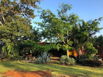 SE VENDE RANCHO DE 5 HECTAREAS a pie de carretera, cerca de Leona Vicario