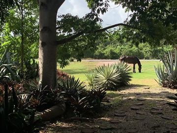 SE VENDE RANCHO DE 5 HECTAREAS a pie de carretera, cerca de Leona Vicario