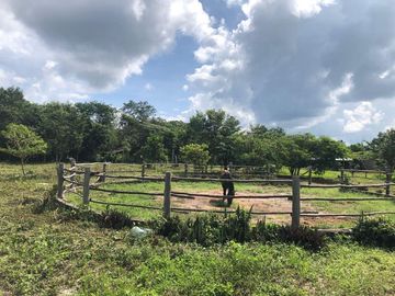 SE VENDE RANCHO DE 5 HECTAREAS a pie de carretera, cerca de Leona Vicario