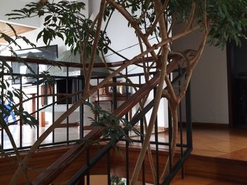 Venta - Casa - Urbanización El Condado - Norte - Quito