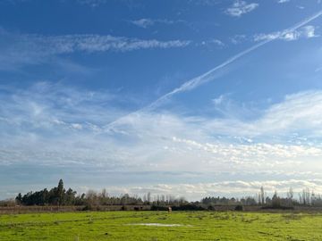 VENDO HERMOSA PARCELA DE 5.000 M2 EN COMUNA DE VILLA ALEGRE, TOTALMENTE SANEADA Y MUY CERCANA A CARRETERA 5 SUR