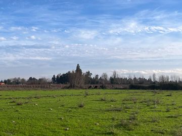 VENDO HERMOSA PARCELA DE 5.000 M2 EN COMUNA DE VILLA ALEGRE, TOTALMENTE SANEADA Y MUY CERCANA A CARRETERA 5 SUR