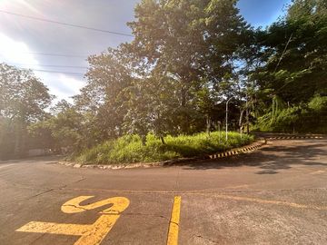 Lot for sale in ridge park valley golf cainta rizal
