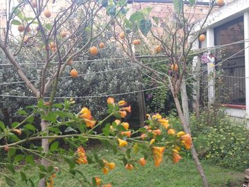 SENSACIONAL CASA EN VENTA