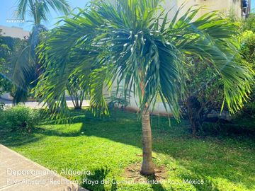 DEPARTAMENTO EN VENTA REAL IBIZA PLAYA DEL CARMEN