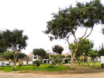 🏡 ¡EXCLUSIVO TERRENO FRENTE A PARQUE EN VENTA EN SMP – UBICACIÓN PRIVILEGIADA! 🌳