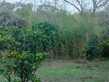 QUINTA EN VENTA EN ALLENDE    TERRENO DE 11,000 METROS