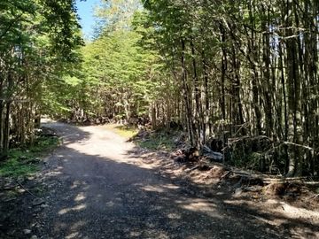 Parcela en Coyhaique Camino a Cerro Negro
