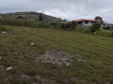 TERRENO EN MALCHINGUI CON HERMOSA VISTA