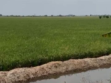 VENTA 568,300m2 en La Isla pertenece al Cantón Yaguachi muy cerca del Sector Nuevo Samborondon y de la Vía Al Pan- Samborondon