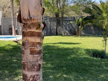 Quinta Campestre! Oportunidad ÚNICA de inversión en Montemorelos
