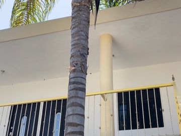 Quinta Campestre! Oportunidad ÚNICA de inversión en Montemorelos
