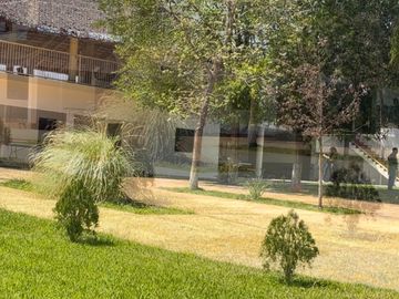 Quinta Campestre! Oportunidad ÚNICA de inversión en Montemorelos