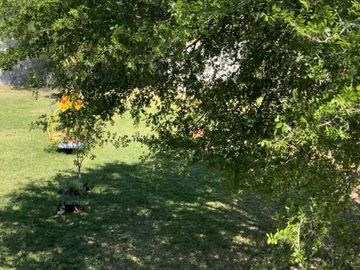 Quinta Campestre! Oportunidad ÚNICA de inversión en Montemorelos