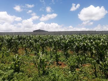 VENTA DE TERRENO EN ATOTONILCO EL GRANDE, HGO.