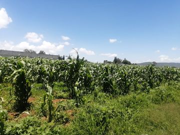 VENTA DE TERRENO EN ATOTONILCO EL GRANDE, HGO.