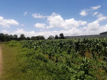 VENTA DE TERRENO EN ATOTONILCO EL GRANDE, HGO.