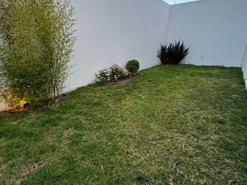 Casa En Venta En Fraccionamiento La Cartuja Pachuca Hidalgo