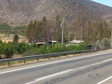 Petorca, parcela en producción con abundante agua.