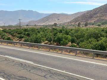 Petorca, parcela en producción con abundante agua.