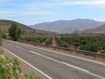 Petorca, parcela en producción con abundante agua.