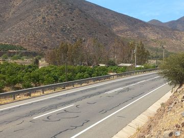 Petorca, parcela en producción con abundante agua.
