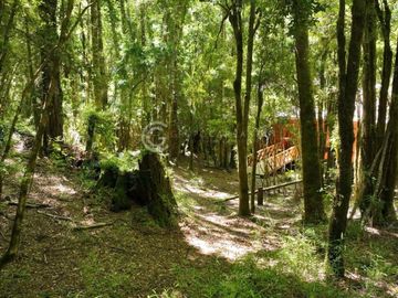 CASA EN PARCELA - RESERVA HUILO HUILO