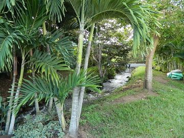 CASA CAMPESTRE EN CONDOMINIO SECTOR PANCE
