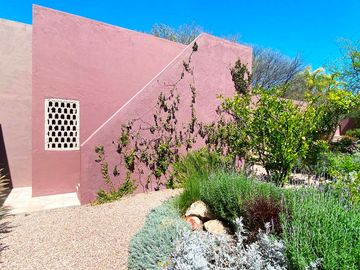 Casa Sostenible Frida, Experiencia Auténtica