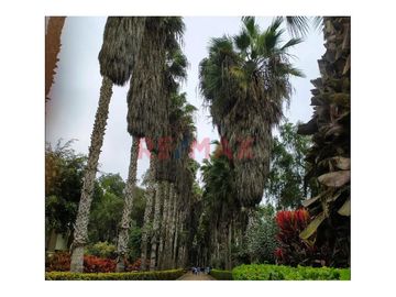 Venta Departamento 2Do Piso, De 54 M2 - Oasis De Villa - Ves