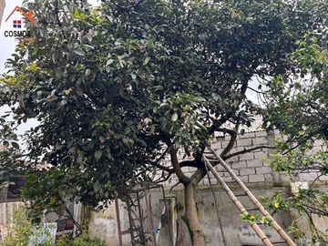 Venta de casa con terreno en Otavalo sector Fuente de Punyaro