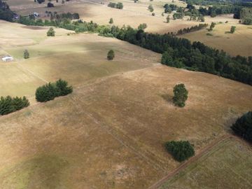 Parcela en venta en Purranque de 4 hectáreas, Región de Los Lagos