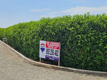 VENTA TERRENO 1078 M2 CONDOMINIO LOS TANGELOS QUILMANA CAÑETE. INDEPENDIZADO EN REGISTROS PUBLICOS