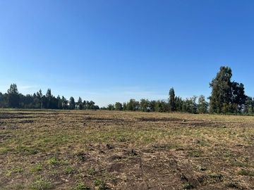 Venta de parcela de 5.000 m² en Talagante