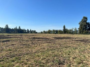 Venta de parcela de 5.000 m² en Talagante