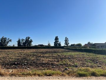 Venta de parcela de 5.000 m² en Talagante