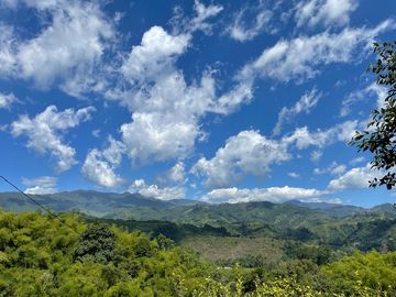 Venta de finca en salento Quindío