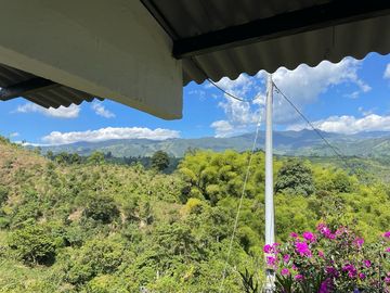 Venta de finca en salento Quindío