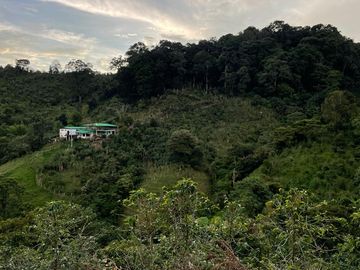 Venta de finca en salento Quindío