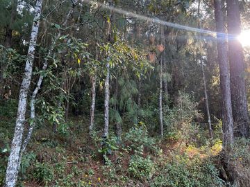 ¡OPORTUNIDAD DE TERRENO EN VENTA!