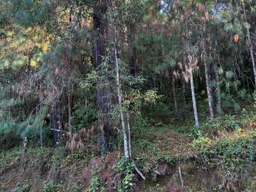 ¡OPORTUNIDAD DE TERRENO EN VENTA!