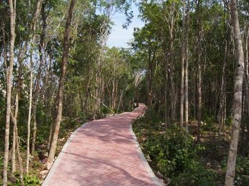 Departamento de 2 Recamaras en Venta en Playa del Carmen